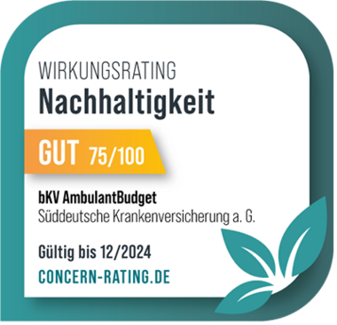 bKV AmbulantBudget