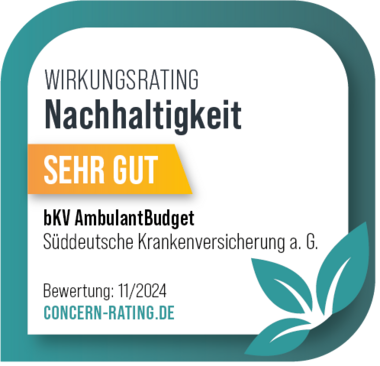 Concern Siegel Nachhaltigkeit AmbulantBudget